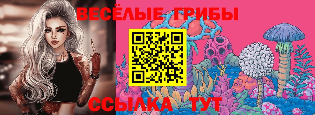 Псилоцибиновые грибы Magic Shrooms Гусь-Хрустальный