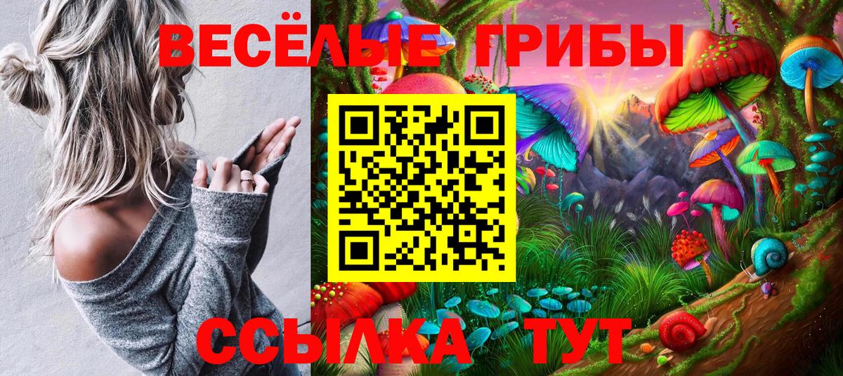 Псилоцибиновые грибы GOLDEN TEACHER  Вход с VPN  Гусь-Хрустальный 
